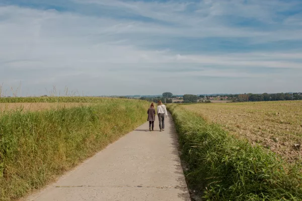 Veldwerk