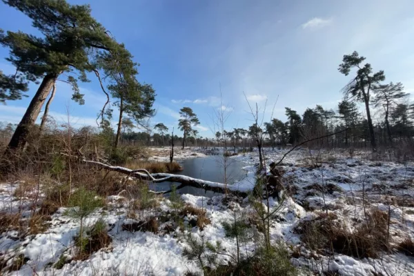 Bovenlokaal cultuurproject