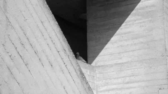 detailfoto van het gebouw met een duif 