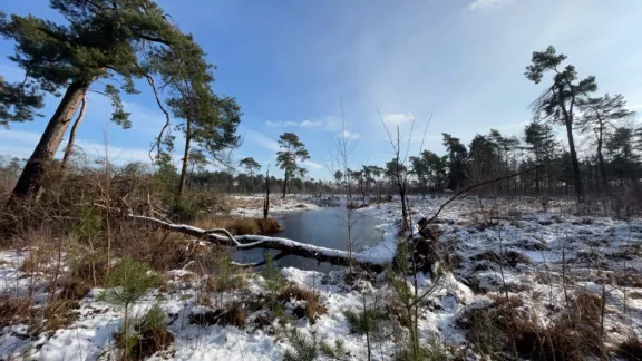 Bovenlokaal cultuurproject